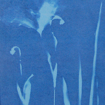 Fundraising Page: Rhonda Horton